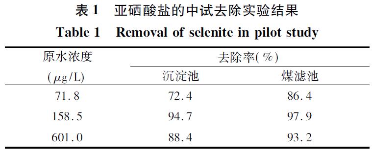 表1 亞硒酸鹽的中試去除實驗結果